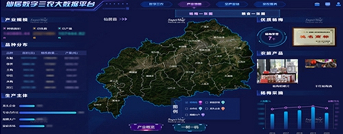 仙居楊梅產業一件事平臺